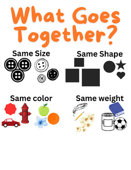 Preview of Classifying Groups - What Goes Together?