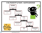 Classifying Numbers Graphic Organizer