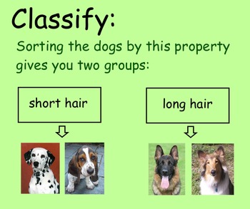 Preview of Classifying Objects & Events - Smartboard Lesson