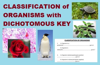 Preview of Classifying Organisms : Dichotomous Key PowerPoint