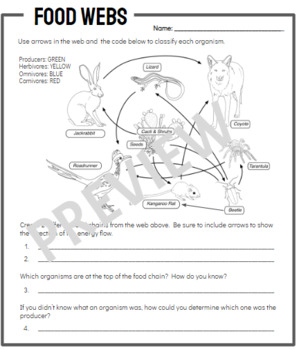 Food Webs and Classifying Organisms by Michelle Hugenberg | TPT