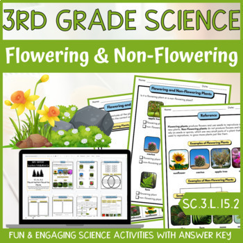 Preview of Classifying Plants Activity & Answer Key 3rd Grade Life Science