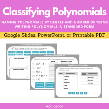 Preview of Classifying Polynomials - Polynomial Vocabulary Digital Activity