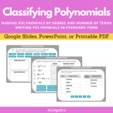 Classifying Polynomials - Polynomial Vocabulary Digital Activity