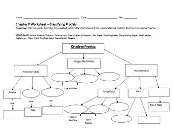Protist Classification Chart