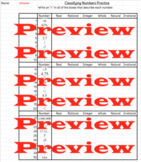 Classifying Real Numbers - Self-Checking - Google Sheets Activity