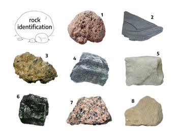 Classifying Rocks with a Dichotomous Key by The Science Closet | TPT