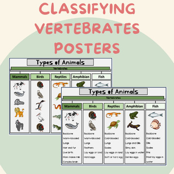 Preview of Classifying Vertebrate (Types of) Animals Poster - With Visuals - ESL Friendly