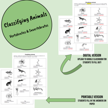 Preview of Classifying Vertebrates & Invertebrates