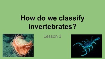 Preview of Classifying invertebrates