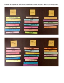 Preview of Classroom Behavior Sort Activity for Staff Meeting, PLC, or Classroom Use