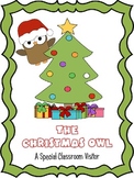 Classroom Christmas Owl - Classroom Management/Writing