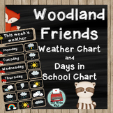 Classroom Decor - Weather Chart - Woodland Friends Theme