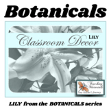Classroom Decor in Real LILY Botanicals Theme