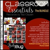 Classroom Decor & Alphabet Cards & Phonics Cards - BUNDLE 