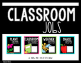Classroom Jobs Black Series
