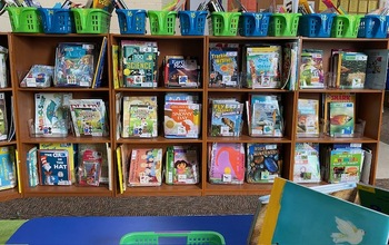 Preview of Classroom Library Look Book Labels (ALL INCLUDED)