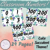 Classroom Numbers | Number Cards 0-100+ | Succulents | PDF