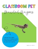 Classroom Pet - Bearded Dragon