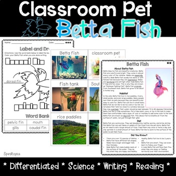 Preview of Classroom Pet: Betta Fish