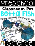 Classroom Pet: Betta Fish