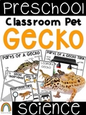 Classroom Pet: Gecko