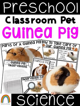 Preview of Classroom Pet: Guinea Pig