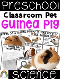 Classroom Pet: Guinea Pig