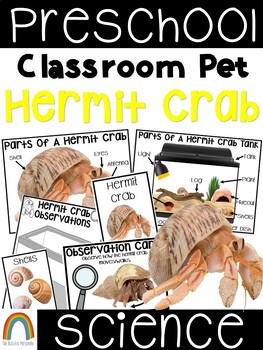 Preview of Classroom Pet: Hermit Crab