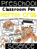 Classroom Pet: Hermit Crab