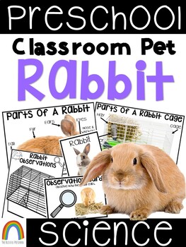 Classroom Pet: Rabbit by The Blissful Preschool | TPT