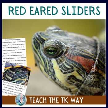 Preview of Classroom Pet Red Eared Slider