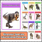 Bundle Dinosaur Species Poster Educational Classroom Poste