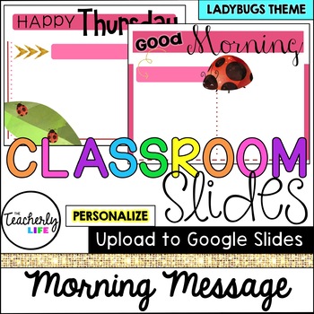 Preview of Classroom Slides - Morning Message Templates - Ladybugs