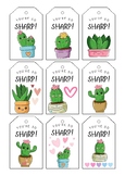 Classroom Valentine Cards- Cactus Themed- You're so sharp 
