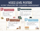 Classroom Voice Level Posters, Voice Level Display, Class 