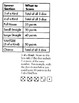 classroom yahtzee rules and directions by missmanzione tpt