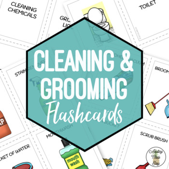 Preview of Cleaning & Grooming Flashcards & Sorting Activity