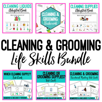 Preview of Cleaning and Grooming Life Skills BUNDLE