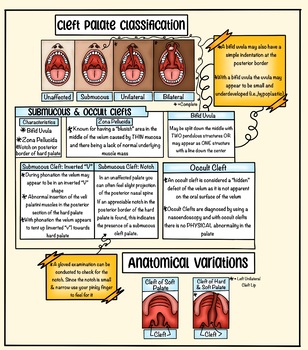 Preview of Cleft Lip and Palate Visual Poster