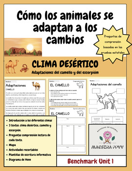 Preview of Clima desértico-Adaptaciones animales -Comprensión lectora-Escritura informativa