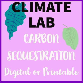 Preview of Climate Change Lab - Carbon Sequestration