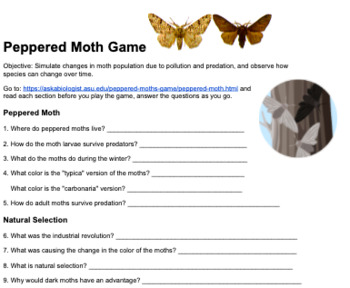Peppered Moths Worksheets Teaching Resources Tpt