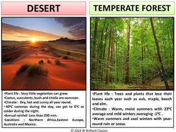 Climate Zones colorful Posters for classroom | TpT