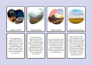 Preview of Climate and Weather Earth Science Review Flash Cards Pastel Organic Photo