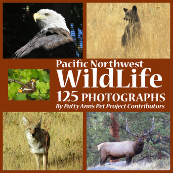 Preview of Wildlife Sciences Clip Art 125 Photos Eagles Bears Coyotes Elk Natural Habitats