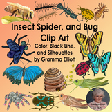 Insect and Bugs and Spider Clip Art  Realistic Color and B