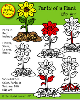 Preview of Clip Art: Basic Parts of a Plant