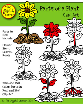 parts of a plant clipart