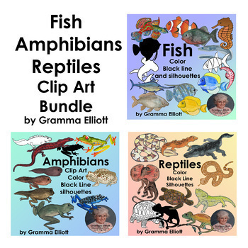 Preview of Amphibians Fish and Reptiles Bundle  of Realistic Clip Art